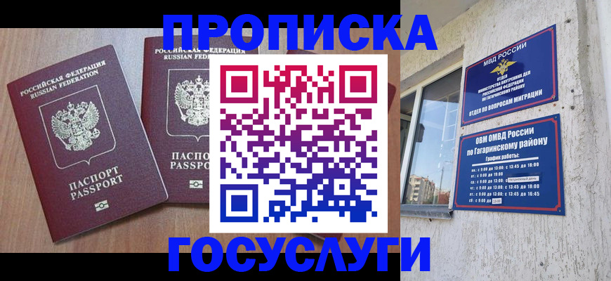 найти адрес прописки в Новозыбкове